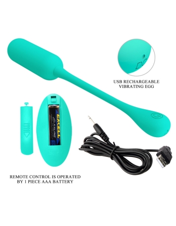 Виброяйцо Pretty Love Lechies