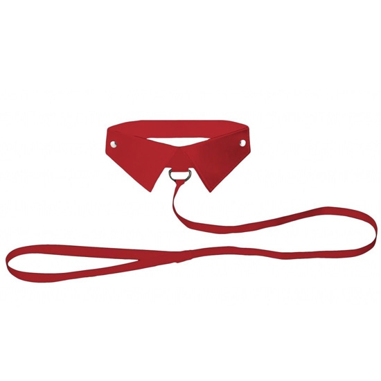 Ошейник с поводком Classic Collar OUCH